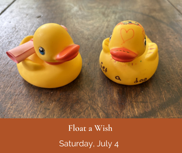 rubber duckies with wishes