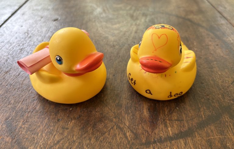 rubber duckies with wishes